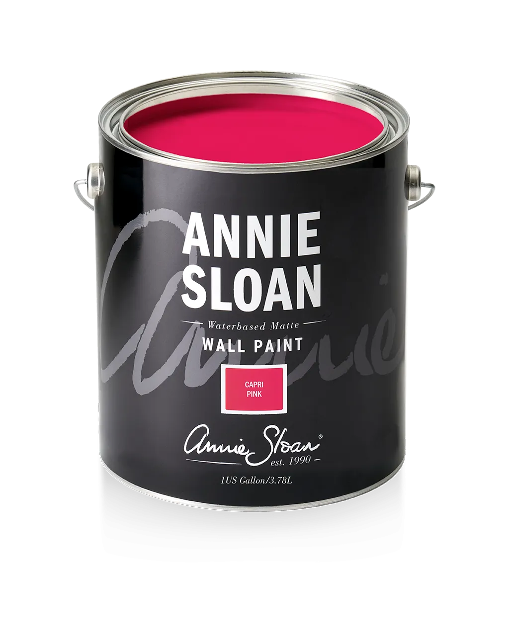 Capri Pink Wall Paint