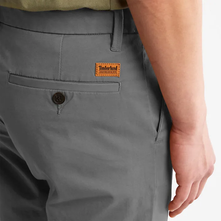Sargant Lake Chinos For Men